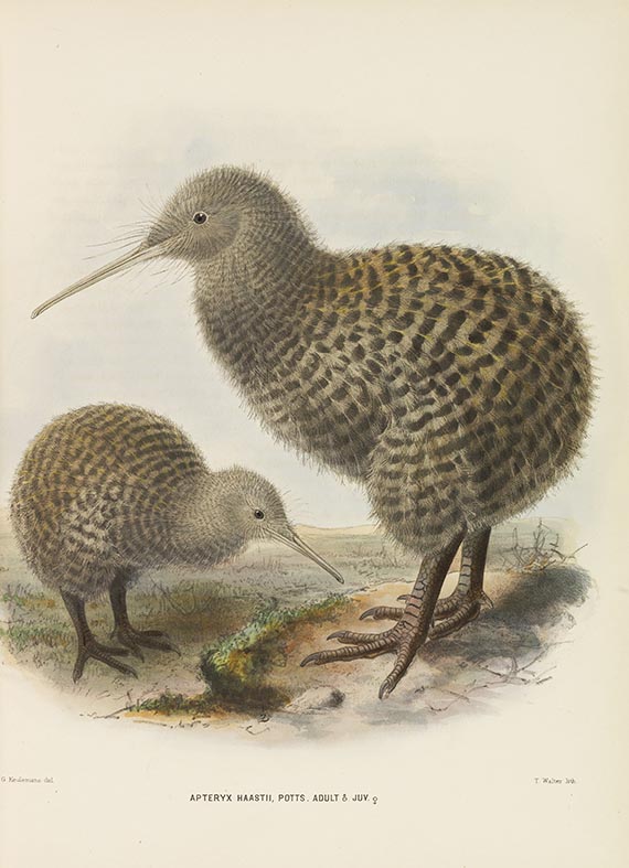 George Dawson Rowley - Ornithological Miscellany. 3 Bände - Weitere Abbildung