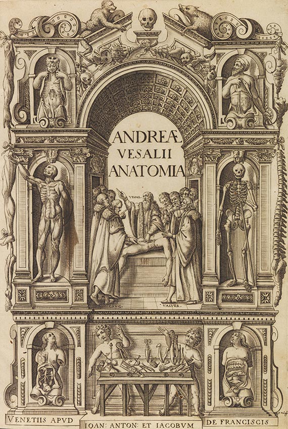 Andreas Vesalius - Anatomia - Weitere Abbildung