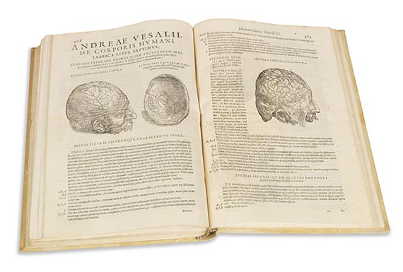 Andreas Vesalius - Anatomia - Weitere Abbildung