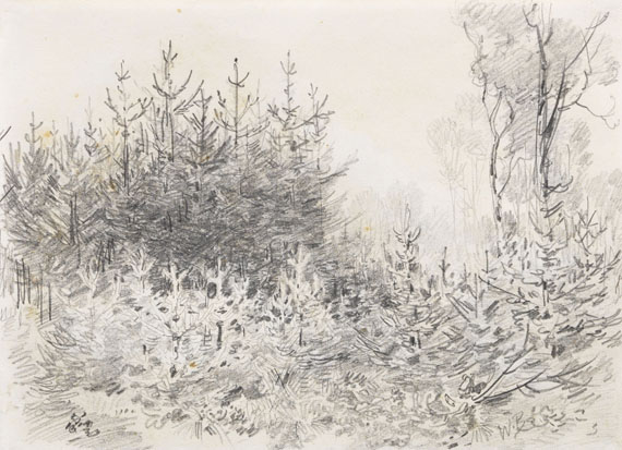 Wilhelm Busch - 3 Bll.: Zwei Kühe (Bl. 1). Waldinneres mit Brücke über Bach (Bl. 2). Haus hinter Bäumen und Sträuchern, verso: Tannenschonung im Wald (Bl. 3) - Weitere Abbildung