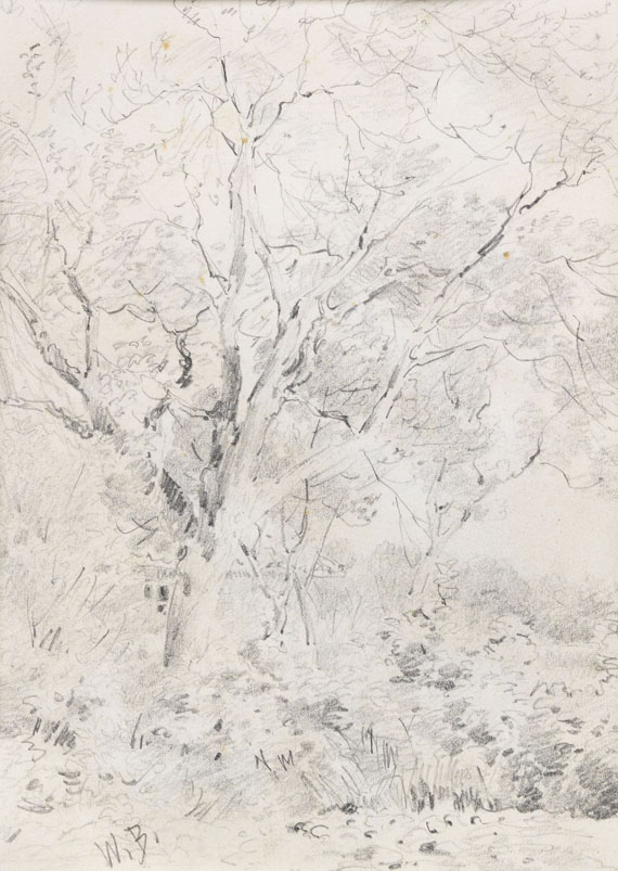 Wilhelm Busch - 3 Bll.: Zwei Kühe (Bl. 1). Waldinneres mit Brücke über Bach (Bl. 2). Haus hinter Bäumen und Sträuchern, verso: Tannenschonung im Wald (Bl. 3) - Weitere Abbildung