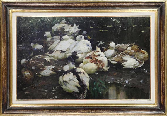 Alexander Koester - 12 Enten im Wasser - Rahmenbild