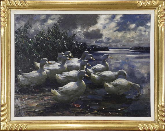 Alexander Koester - 11 Enten in der Morgensonne - Rahmenbild