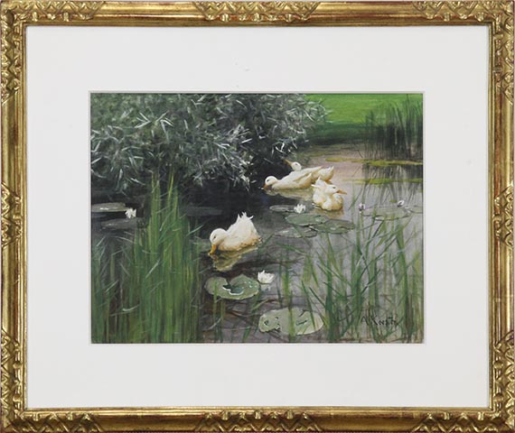 Alexander Koester - Enten im Seerosenteich - Rahmenbild