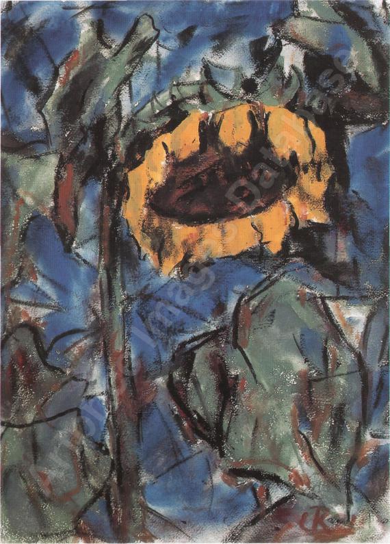 Sonnenblume
