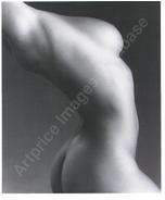 «Torso» (Lisa...