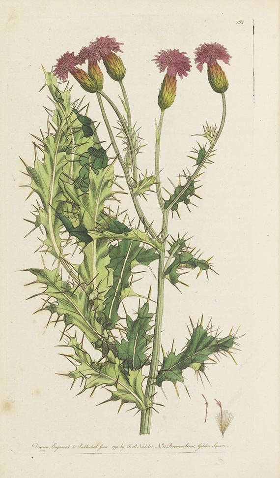 Thomas Martyn - Flora rustica