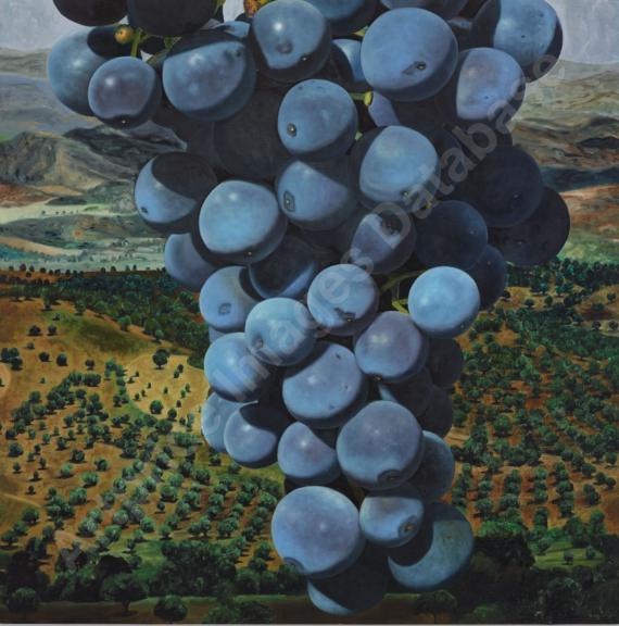 Trauben (Grapes)...