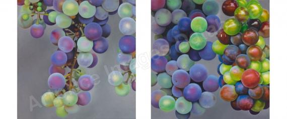 Untitled (Trauben)...