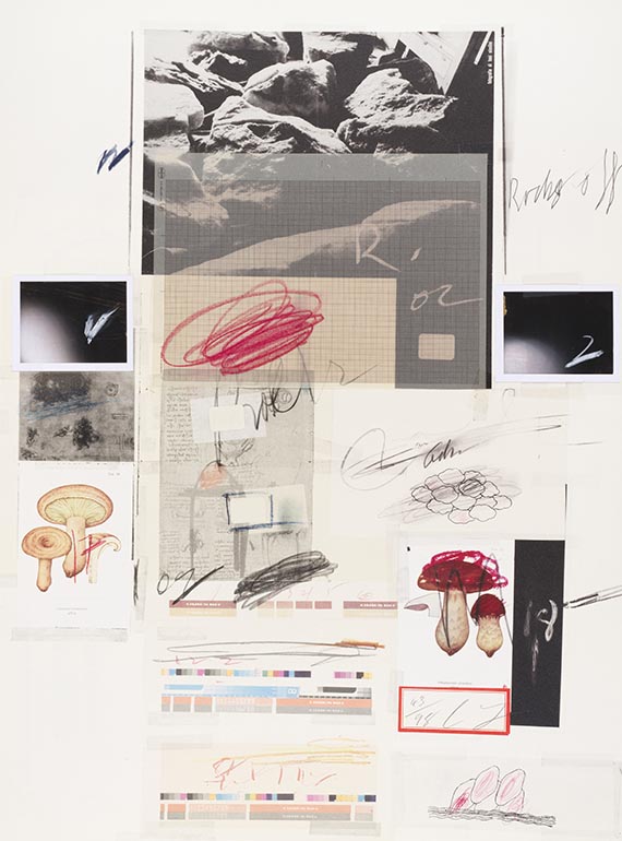 Cy Twombly - Natural History Part I, Mushrooms - Weitere Abbildung