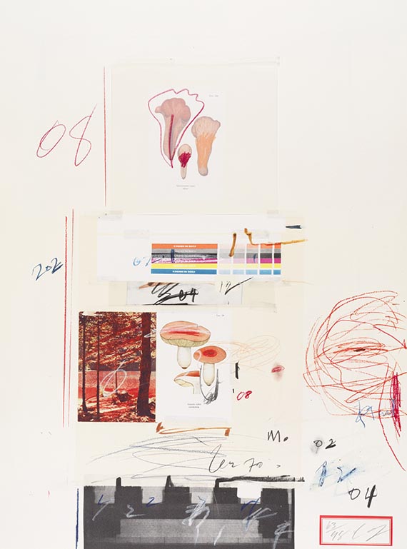 Cy Twombly - Natural History Part I, Mushrooms