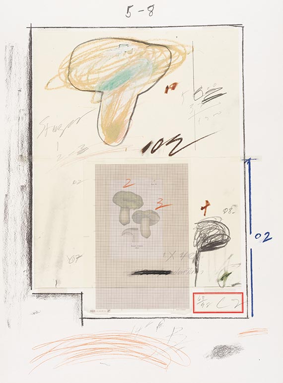 Cy Twombly - Natural History Part I, Mushrooms