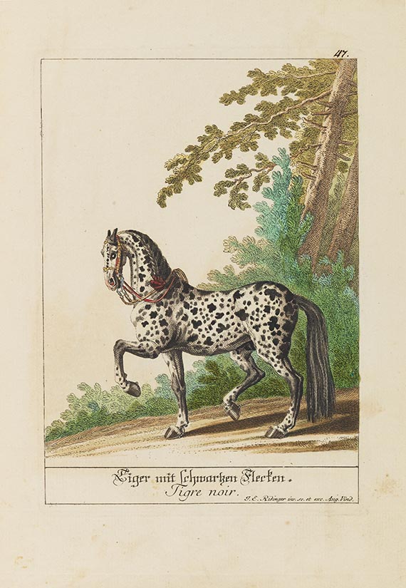 Johann Elias Ridinger - Hier zeig sich Rapp Braun Fuchs ... Vorstellung der Pferde nach ihren Hauptfarben