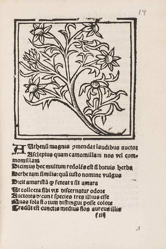  Macer Floridus - Herbarum varias - Weitere Abbildung