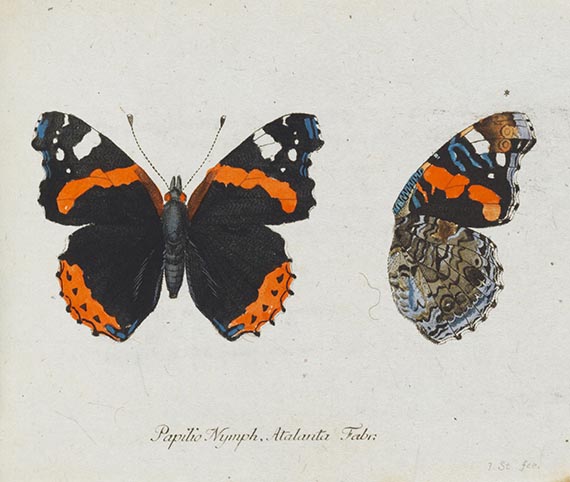 Georg Wolfgang Franz Panzer - Faunae insectorum Germanicae Initia. 190 Hefte und Index in 51 Bänden.