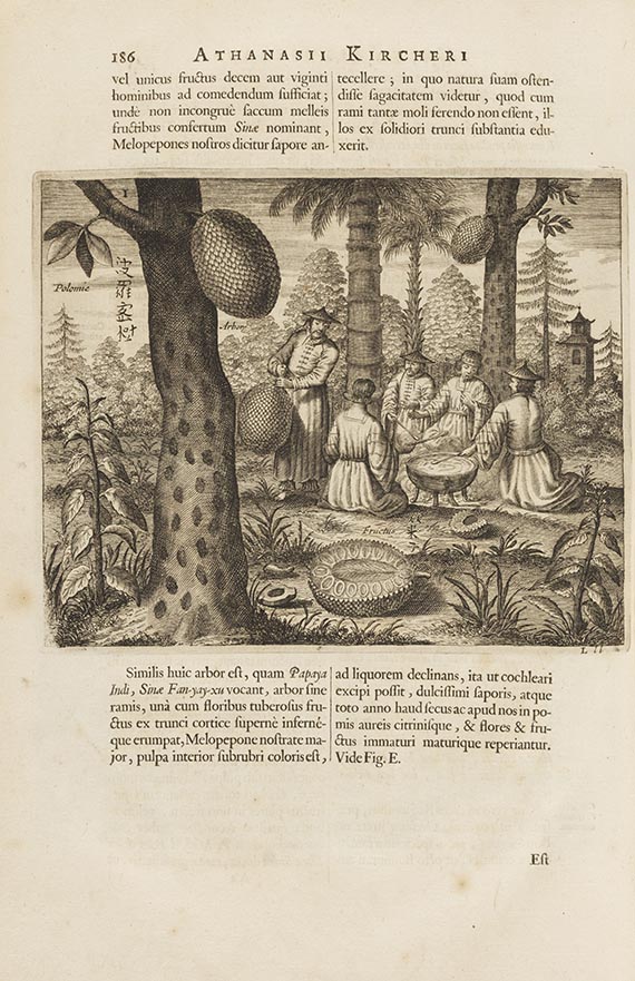 Athanasius Kircher - China monumentis