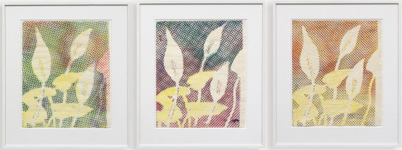 Sigmar Polke - Kallablüten (3-teilig) - Rahmenbild