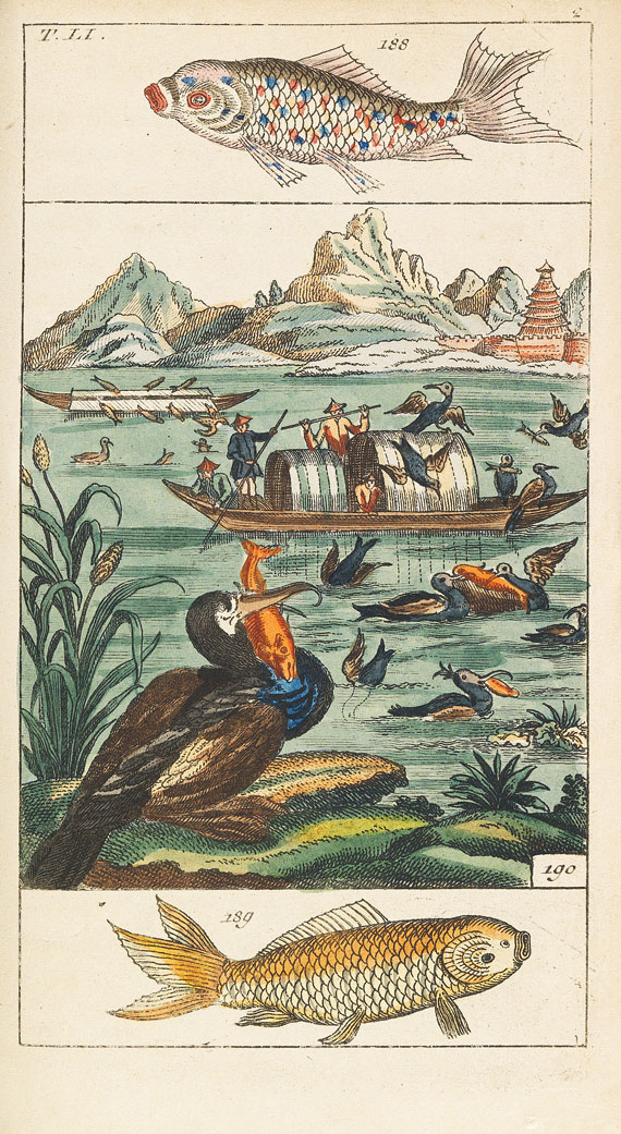 Gottlieb Tobias Wilhelm - Unterhaltungen aus der Naturgeschichte - Weitere Abbildung
