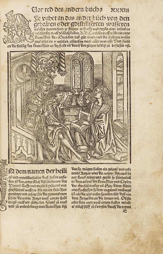 Hieronymus Brunschwig - Medicinarius. Das Buch der Gesuntheit
