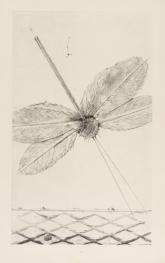 Max Ernst - Histoire naturelle - Dabei: Paramythen und Geh durch den Spiegel Folge 24