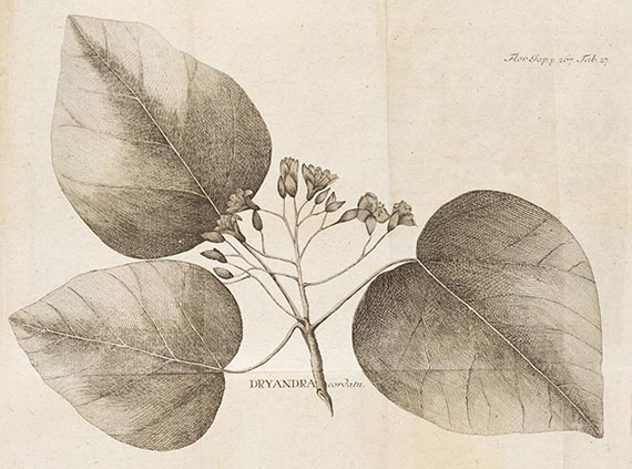 Carl Peter Thunberg - Flora iaponica