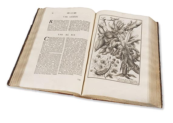 Johann Jakob Scheuchzer - Physica Sacra - Weitere Abbildung