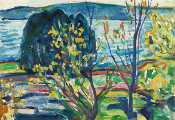 Fjordlandskap (Fjord...