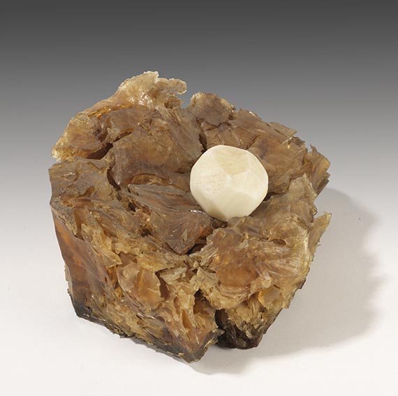 Joseph Beuys - Aktion: Kinloch Rannoch Edinburgh - Weitere Abbildung