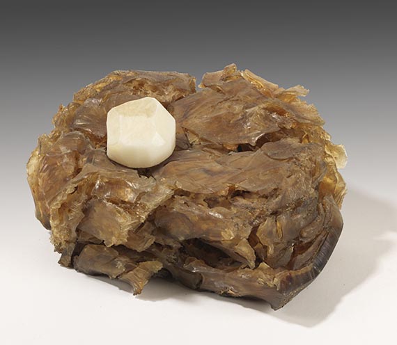 Joseph Beuys - Aktion: Kinloch Rannoch Edinburgh - Weitere Abbildung