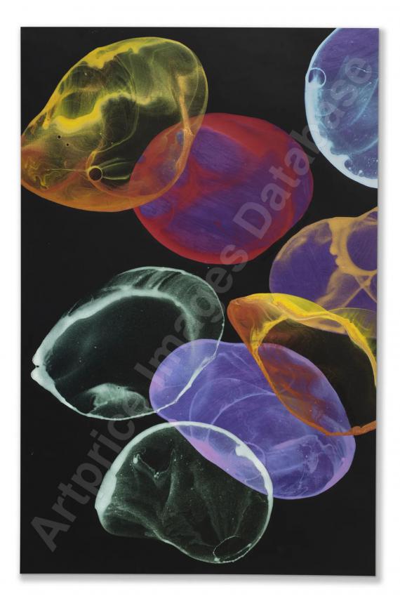 JIRI GEORG DOKOUPILUntitled (2017)