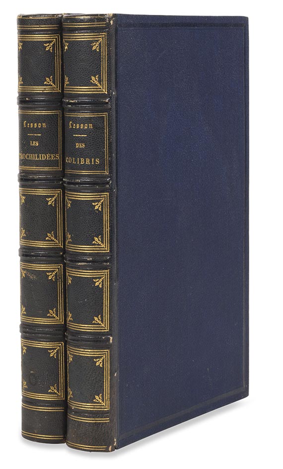 Réne-Primevère Lesson - Histoire naturelle des colibris, suivie d'un supplement (&) Les trochilidées, 2 Werke - Weitere Abbildung