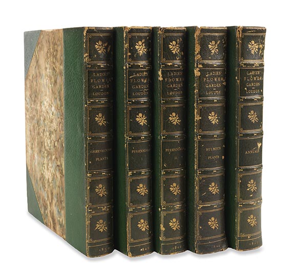 Jane C. Webb Loudon - The ladies' flower-garden. 4 Werke in 5 Bänden. - Weitere Abbildung