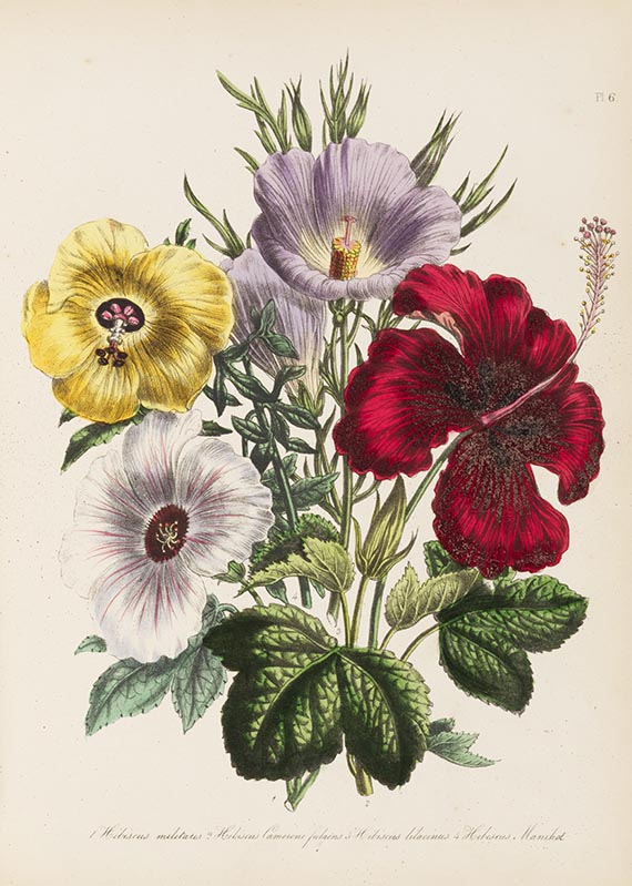 Jane C. Webb Loudon - The ladies` flower-garden. 4 Werke in 5 B&auml;nden.