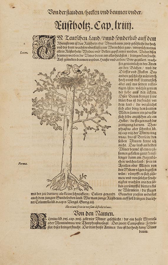 Hieronymus Bock - Kre&uuml;tterbuch