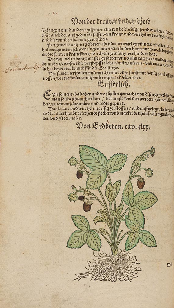 Hieronymus Bock - Kre&uuml;terbuch