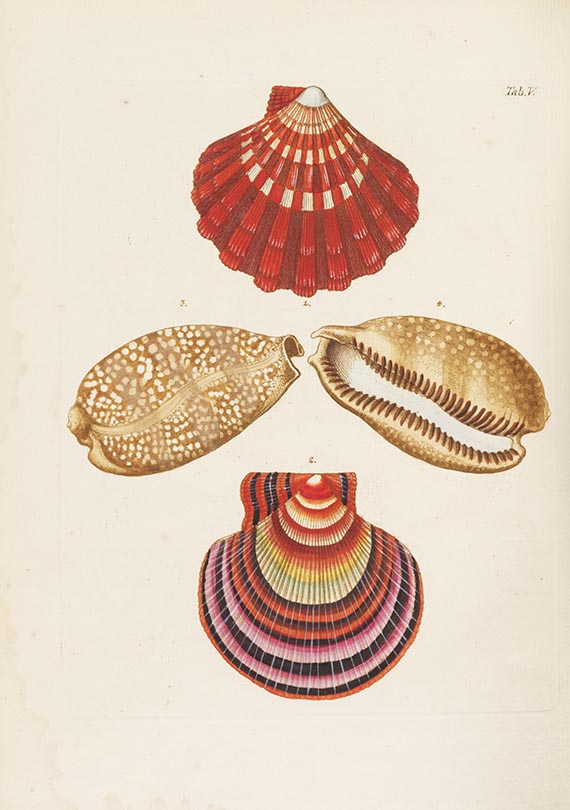 Georg Wolfgang Knorr - Verlustiging der oogen en van den geest. 6 Teile in 2 B&auml;nden