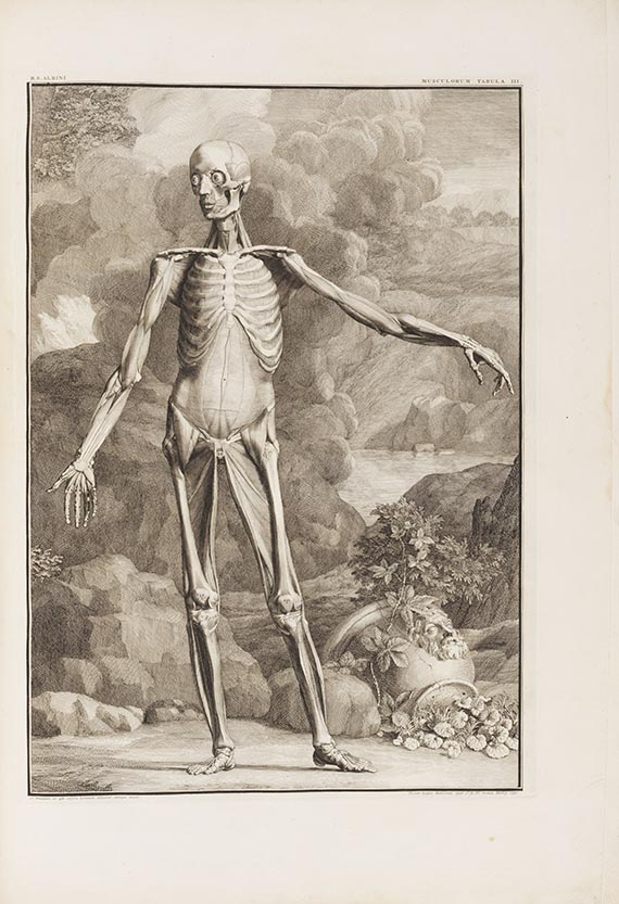 Bernhard Siegfried Albinus - Tabulae sceleti et musculorum corporis humani - Weitere Abbildung
