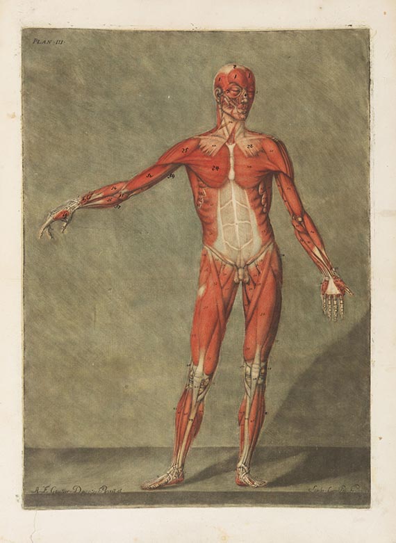 Arnauld-Eloi Gautier-Dagoty - Cours complet d’anatomie - Weitere Abbildung