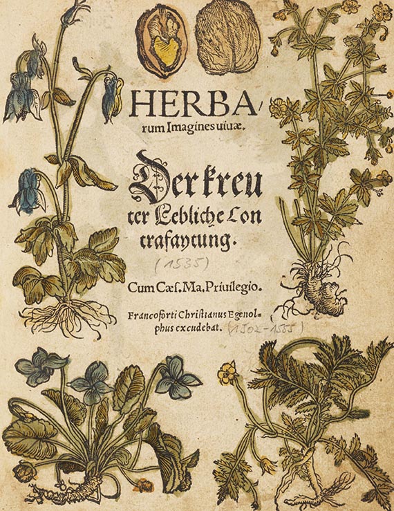 Otto Brunfels - Kre&uuml;terbuch contrafayt. - Angebunden: Herbarum imagines vivae (Egenolff 1535)