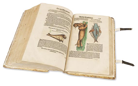 Conrad Gesner - Thierbuch - Vogelbuch - Fischbuch - Weitere Abbildung