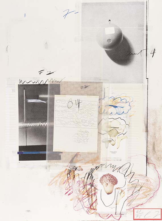 Cy Twombly - Natural History Part I, Mushrooms - Weitere Abbildung
