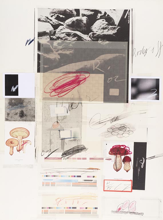Cy Twombly - Natural History Part I, Mushrooms - Weitere Abbildung