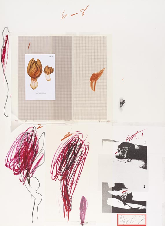 Cy Twombly - Natural History Part I, Mushrooms