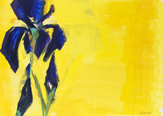 Bernd Zimmer - Iris