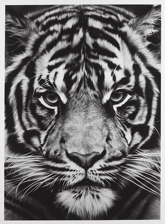 Robert Longo - Tiger