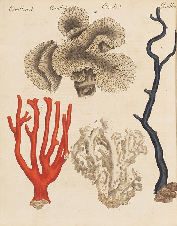 Friedrich Johann Justin Bertuch - Bilderbuch f&uuml;r Kinder. Bde. 1 u. 2