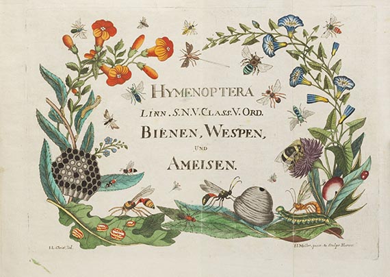 Johann Ludwig Christ - Naturgeschichte, Klassification und Nomenclatur der Insekten