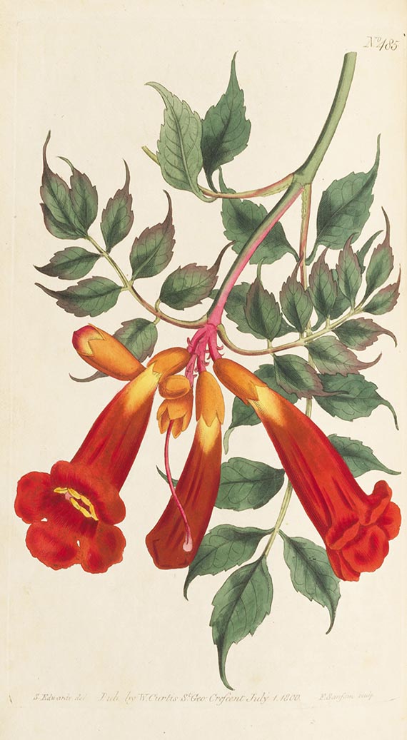 William Curtis - The Botanical Magazine. Bände I-XV in 5