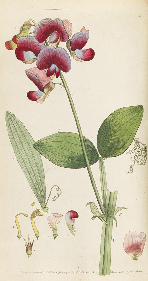 Thomas Martyn - Flora Rustica. Dabei 2 weitere botanische Werke