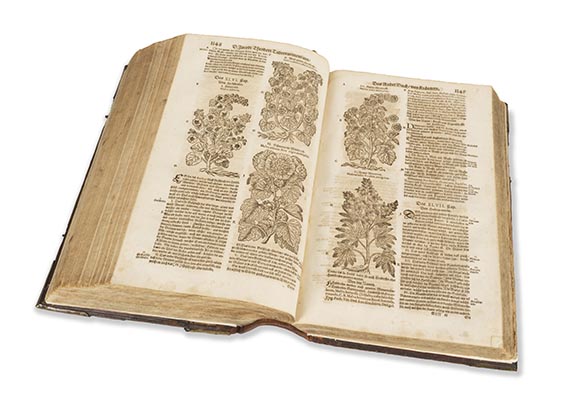 Jacob Theodor Tabernaemontanus - Neu vollkommen Kr&auml;uter-Buch